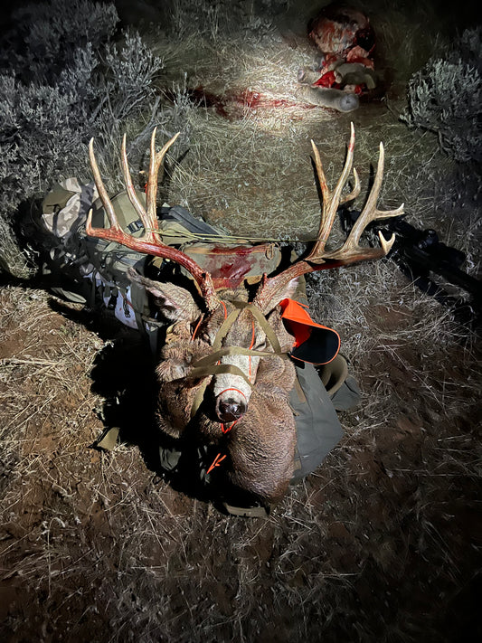 200 inch Colorado Mule Deer