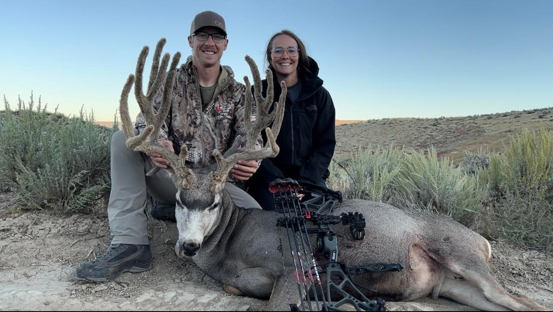 225" Colorado Archery Mule Deer