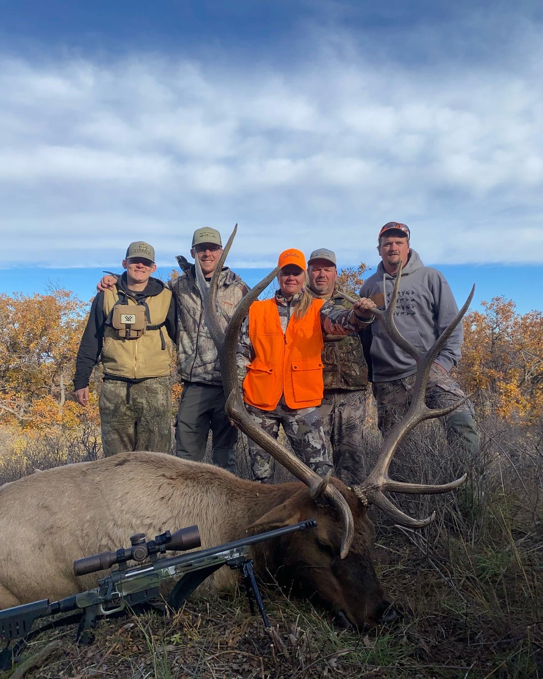 315 inch Colorado Bull Elk