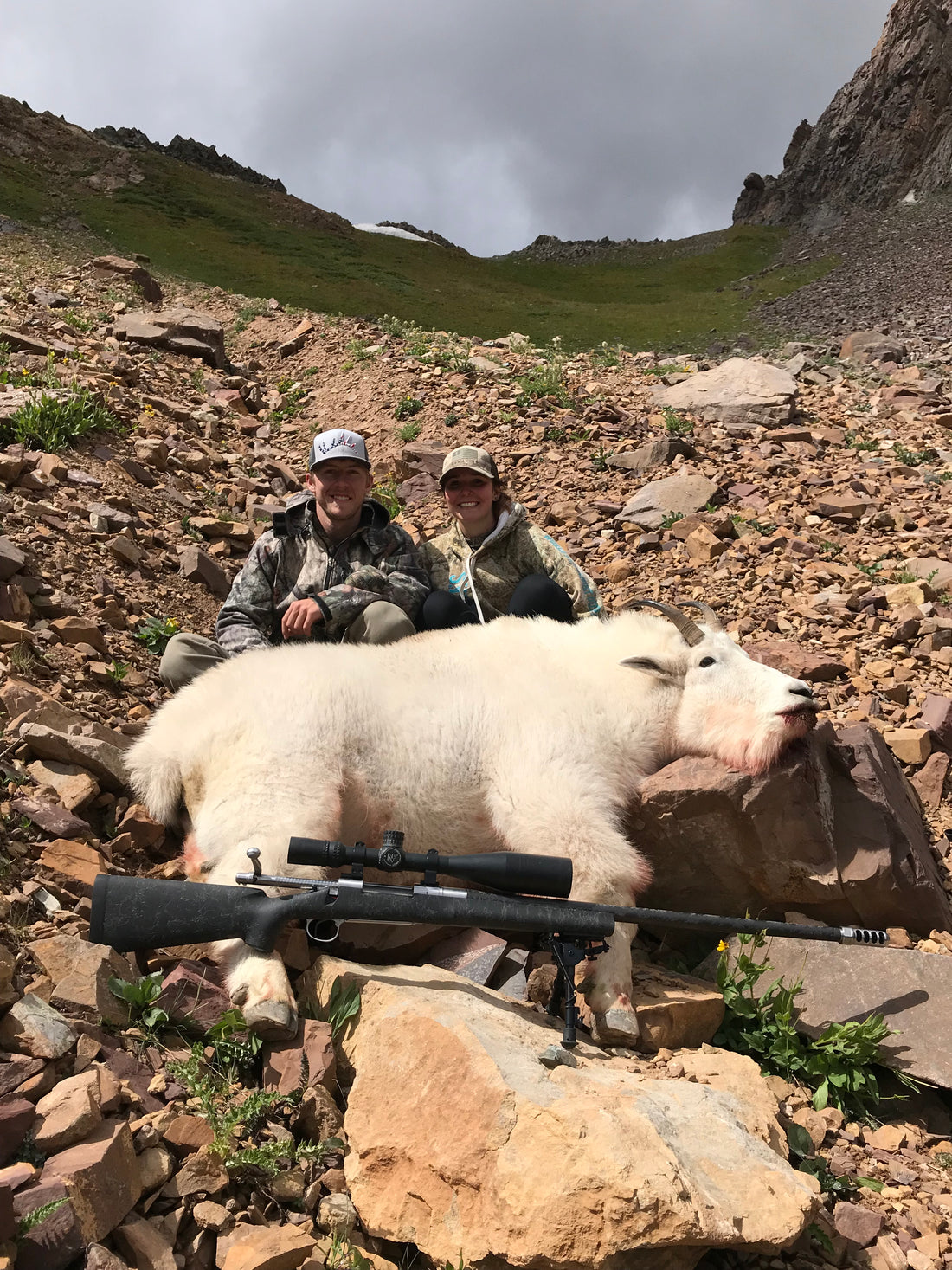 Colorado Mountain Goat